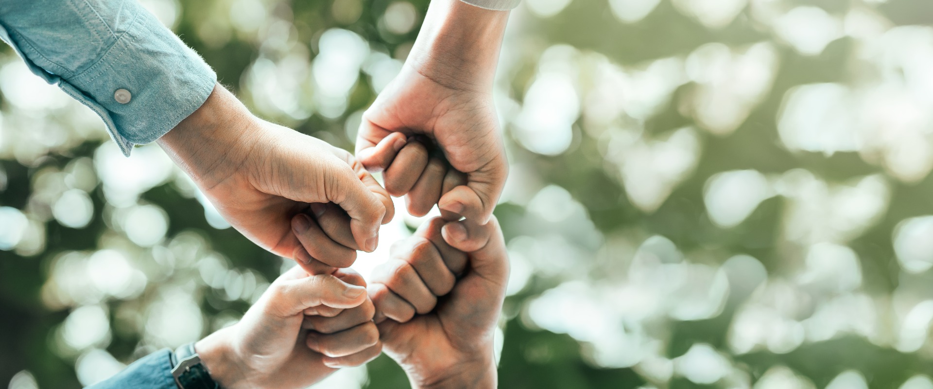 Weltumwelttag und globale Zusammenarbeit. Freiwillige, die sich an der Initiative „Zusammenarbeit für den Schutz der Wälder und der Menschen“ beteiligt haben, tragen zum Erfolg bei. Nachhaltige Entwicklung